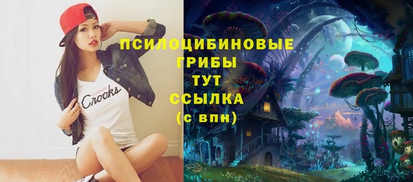 MDMA Premium VHQ Горнозаводск